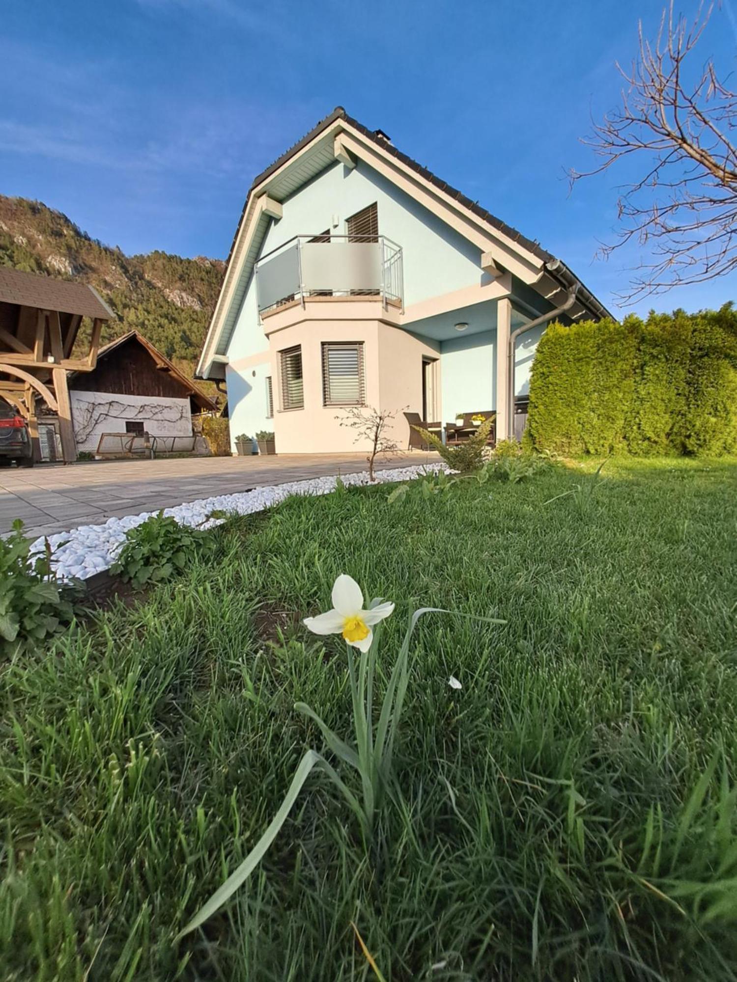 Bella Apartment Zirovnica Exterior photo